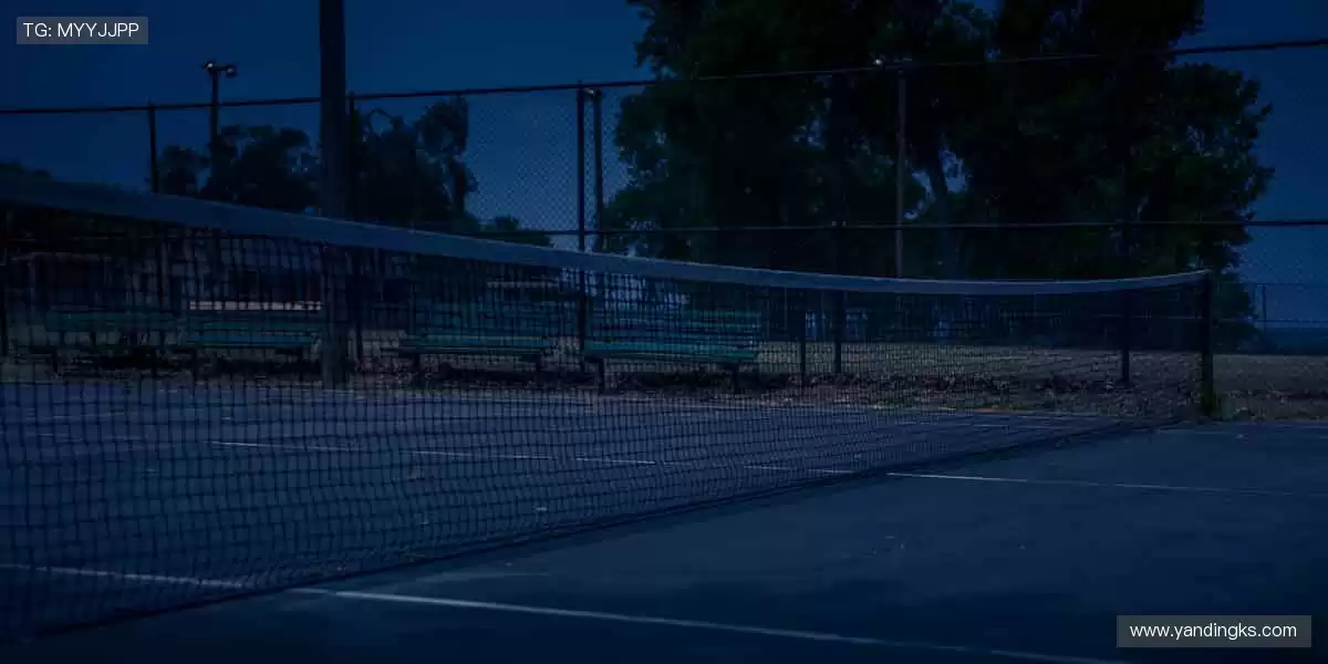 ⚽全球赛事,尽在掌握!指尖滑动,见证冠军诞生的每一秒!